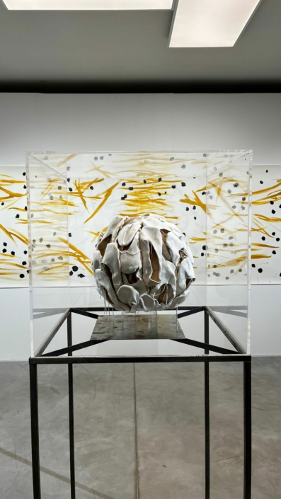 WhatsApp Image 2025-12-08 at 10.59.39