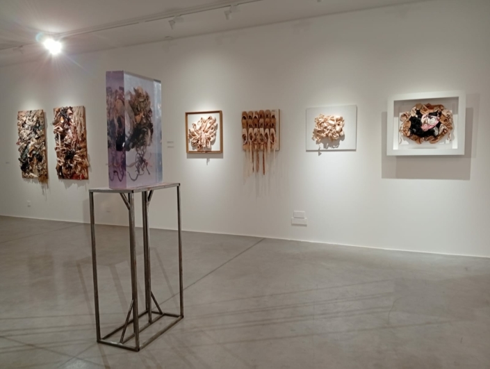 WhatsApp Image 2025-12-08 at 11.09.44