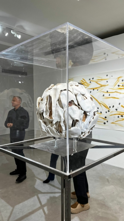 WhatsApp Image 2025-12-08 at 1ôl0.59.39